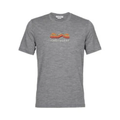 Icebreaker Mens Tech Lite II SS Tee Mountain Geology