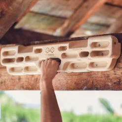 Y&Y Vertical Board One -Edelrids Sport Outdoor Store 4 1800x1800 2a1a775c 1ad8 4f33 8b66 5689e7795c1f