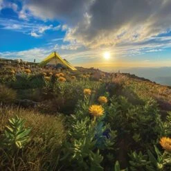 Batcave 2 Ultralight Thru-Hiker Tent -Edelrids Sport Outdoor Store Batwing Batcave Mount Bogong. By Carol Binder 2a1b53b9 e075 425a acd0 cf75d67a76a7