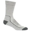 Icebreaker Hike+ Light Crew Socks Men -Edelrids Sport Outdoor Store FW21 MEN HIKE LIGHT CREW 105103017