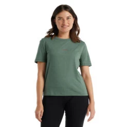 Icebreaker Central SS Tee Women -Edelrids Sport Outdoor Store FW21 WOMEN CENTRAL SS TEE 0A59LT065 1