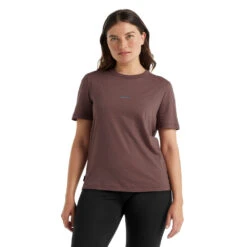 Icebreaker Central SS Tee Women -Edelrids Sport Outdoor Store FW21 WOMEN CENTRAL SS TEE 0A59LT066 1
