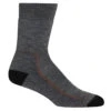 Icebreaker Hike+ Medium Crew Socks Women -Edelrids Sport Outdoor Store FW21 WOMEN HIKE MEDIUM CREW 105097273
