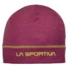 La Sportiva Devotion Beanie 1 La Sportiva Devotion Beanie -Edelrids Sport Outdoor Store X88 501501