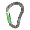 DMM Boa HMS Locksafe BLT/Green -Edelrids Sport Outdoor Store c63 11988 a907 boa 30kn locksafe locking carabiner