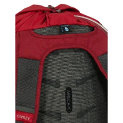 Osprey Daylite Cinch 16 Osprey Daylite Cinch -Edelrids Sport Outdoor Store daylitecinch s21 detail2 cosmicred