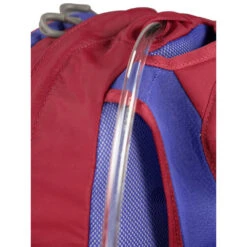 Osprey Daylite Kids -Edelrids Sport Outdoor Store dayltkidss20 s20 detail4 cosmicred