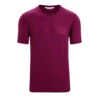Icebreaker Tech Lite II SS Tee Mountain Sunset Mens -Edelrids Sport Outdoor Store goberry 23c0b066 2966 4db6 8ed5 d685558c2203