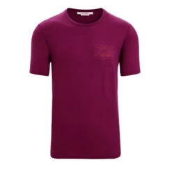 Icebreaker Tech Lite II SS Tee Mountain Sunset Mens