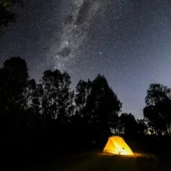 Dragonfly Tent Forest Green -Edelrids Sport Outdoor Store mont dragonfly tent forest green tents shelters 61 10 04 19841746829461