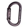 Rock Exotica RockO Auto-Lock Carabiner -Edelrids Sport Outdoor Store rock exotica rock exotica rocko auto lock carabiner grey industrial rexo 125512 17905388880021
