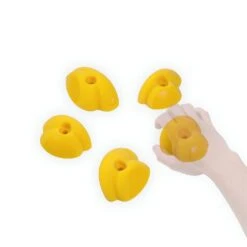 Wataaah Caragna 5 Holds Set -Edelrids Sport Outdoor Store wataaah wataaah caragna 5 holds set other gear 15397464113288