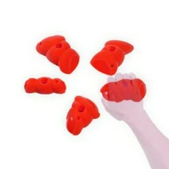 Wataaah Corylus 5 Holds Set -Edelrids Sport Outdoor Store wataaah wataaah corylus 5 holds set other gear 15397628805256